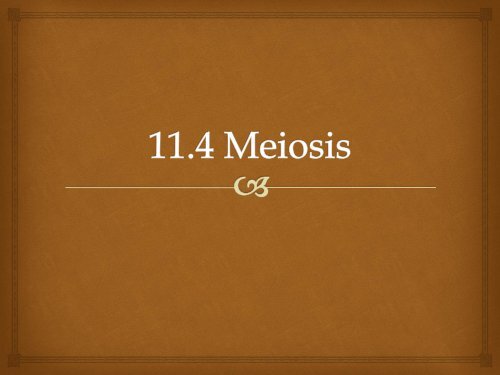 Chapter 11.4 Meiosis 2012 notes.pdf