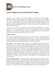 Geovic Mining Corp. Provides Project Update