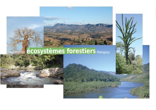 Etat des lieux de la gouvernance forestiÃ¨re Ã  Madagascar - PROFOR