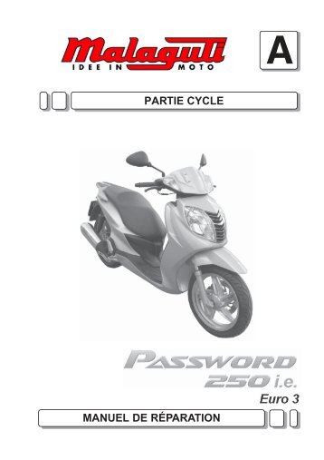 M0087 Password 250 IE Partie Cycle - Malaguti