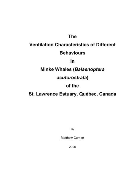 The Ventilation Characteristics of Different Behaviours in Minke ...