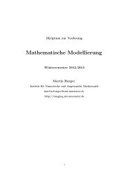 Mathematische Modellierung - Numerische Analysis