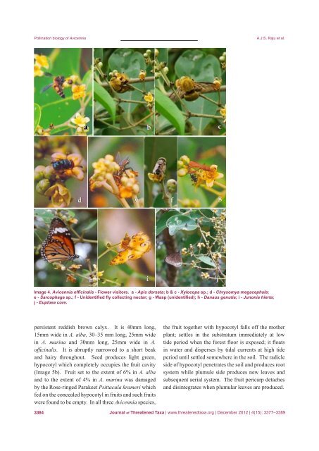 December 2012 - Journal of Threatened Taxa