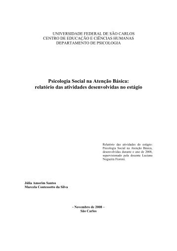 Psicologia Social na AtenÃ§Ã£o BÃ¡sica: relatÃ³rio das atividades ...