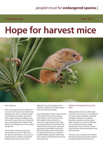 harvest mice April 2011 - People's Trust for Endangered Species