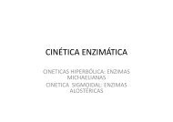 12. Enzimas. Cinetica enzimatica