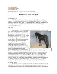 Colic NG.pdf - Steinbeck Country Equine Clinic, Inc.