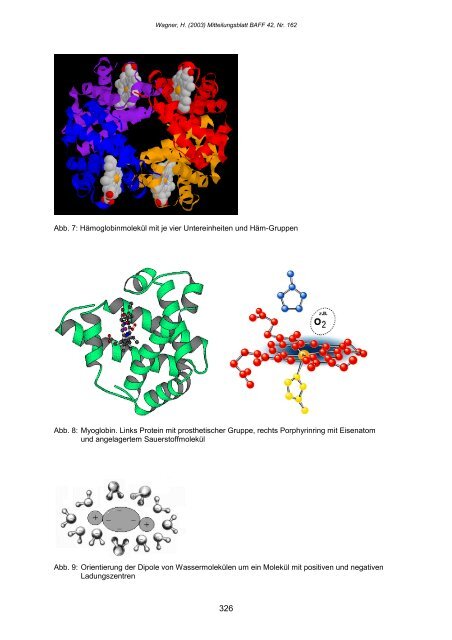 Aufbau und Funktion der Proteine