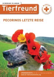 PECORINOS LETZTE REISE - Wiener Tierschutzverein