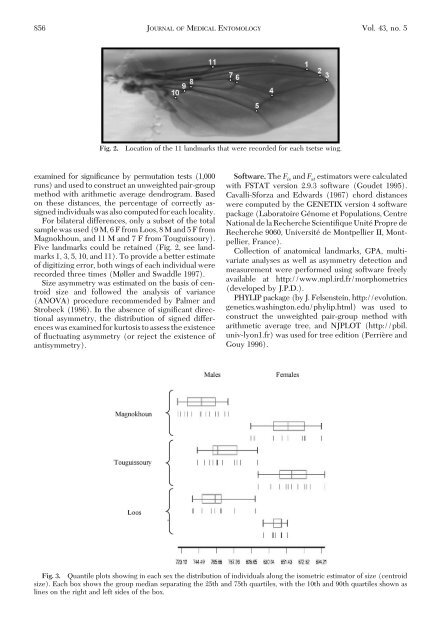 Genetic and Morphometric Evidence for Population Isolation of ... - IRD