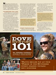 Dove Hunting 101 - National Wild Turkey Federation
