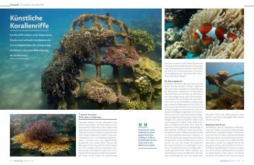 umwelt_kuenstlichekorallenriffe_64_d.pdf - Global Coral Reef Alliance