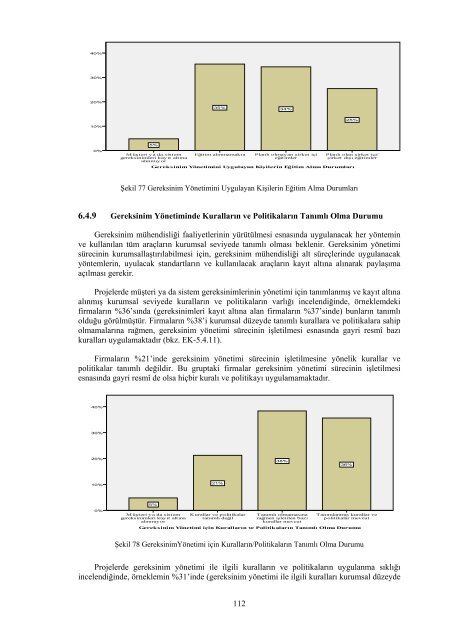 TÃ¼rkiye'de YazÄ±lÄ±m Ãreticilerinin Yetkinlik DÃ¼zeyi, FirmalarÄ±n ve ...