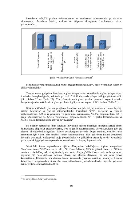 TÃ¼rkiye'de YazÄ±lÄ±m Ãreticilerinin Yetkinlik DÃ¼zeyi, FirmalarÄ±n ve ...