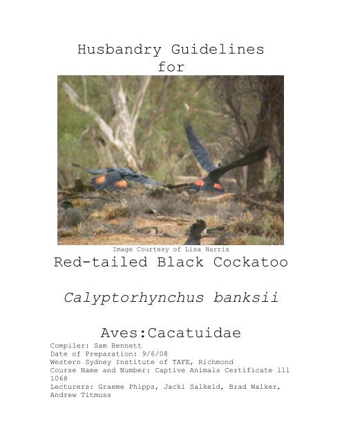 Husbandry Guidelines for Red-tailed Black Cockatoo ... 