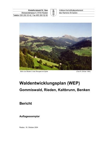 Bericht WEP Go-Ri-Ka-Be (378 kB, PDF) - im St.Galler Wald ...