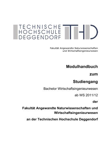 Modulhandbuch zum Studiengang - Hochschule Deggendorf