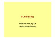 Fundraising - Mitteleinwerbung für Selbsthilfeverbände (PDF)