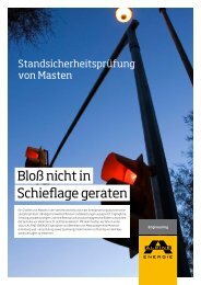 PDF-Download - Alpine Energie