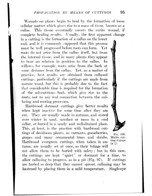 CHE REFERENCE LIBRARY - Pole Shift Survival Information