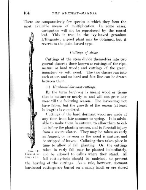 CHE REFERENCE LIBRARY - Pole Shift Survival Information