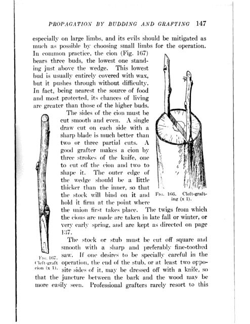 CHE REFERENCE LIBRARY - Pole Shift Survival Information