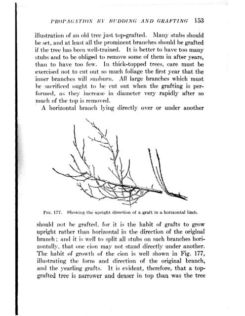 CHE REFERENCE LIBRARY - Pole Shift Survival Information