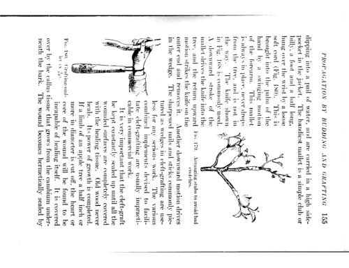 CHE REFERENCE LIBRARY - Pole Shift Survival Information