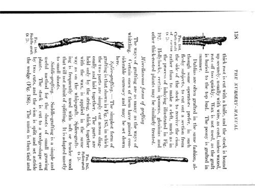 CHE REFERENCE LIBRARY - Pole Shift Survival Information