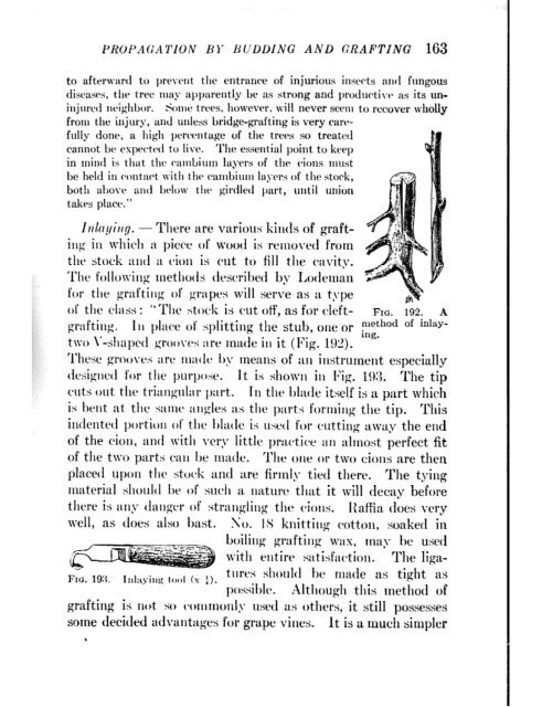 CHE REFERENCE LIBRARY - Pole Shift Survival Information