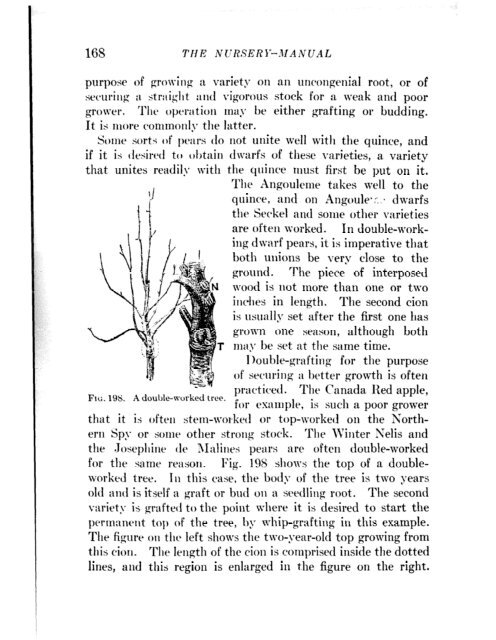 CHE REFERENCE LIBRARY - Pole Shift Survival Information