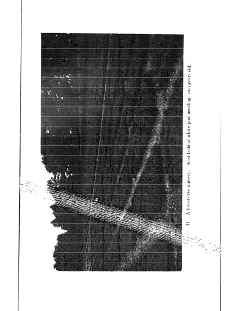 CHE REFERENCE LIBRARY - Pole Shift Survival Information