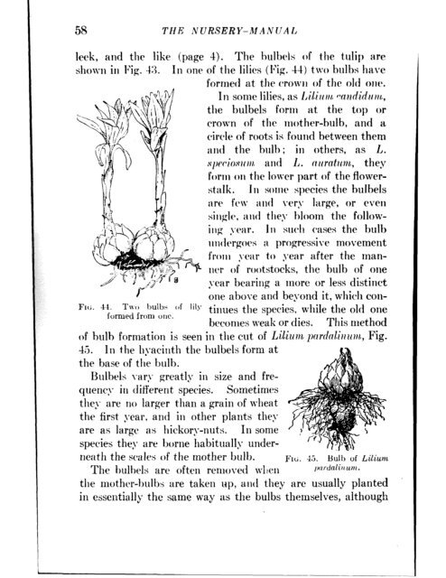 CHE REFERENCE LIBRARY - Pole Shift Survival Information