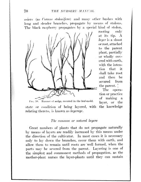 CHE REFERENCE LIBRARY - Pole Shift Survival Information