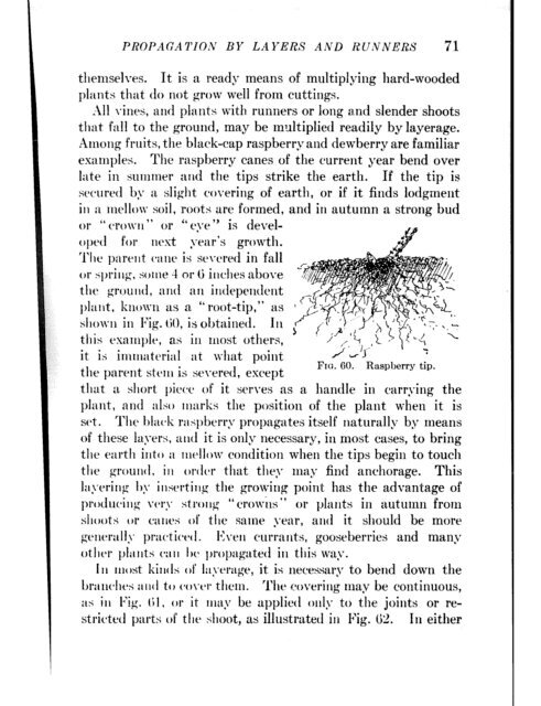 CHE REFERENCE LIBRARY - Pole Shift Survival Information