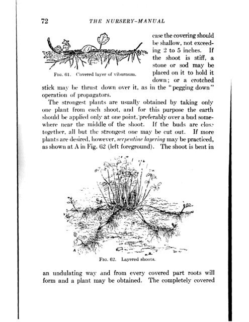 CHE REFERENCE LIBRARY - Pole Shift Survival Information