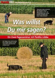 Artikel herunterladen (PDF) - Hunde-Akademie Perdita LÃ¼bbe