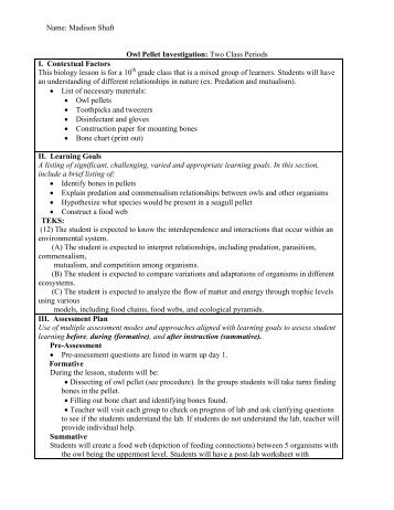 Owl Pellets Lesson Plan - St. Edwards University