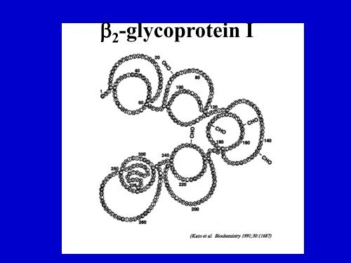 Antiphospholipid Syndrome.