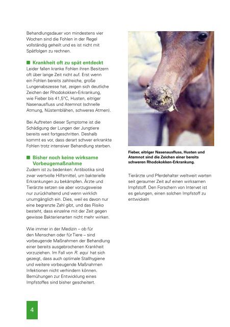 Pferde sollen nicht leiden (336k) - pferdestudie.info
