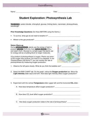 Student Exploration: Photosynthesis Lab