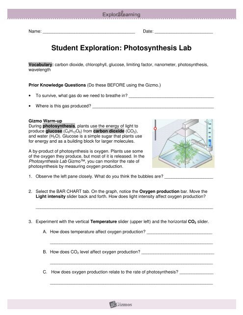 Student Exploration Natural Selection Gizmo Answer Key + My PDF Collection 2021