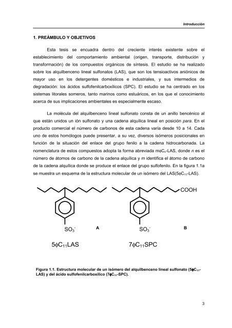 TESIS COMPLETA.pdf - El Instituto EspaÃ±ol de OceanografÃ­a