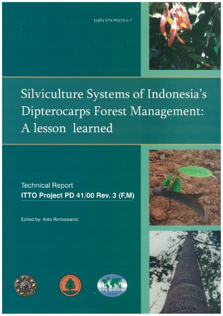 Page 1 Page 2 Silviculture System of Indonesia DÃ­pterocarps Forest ...