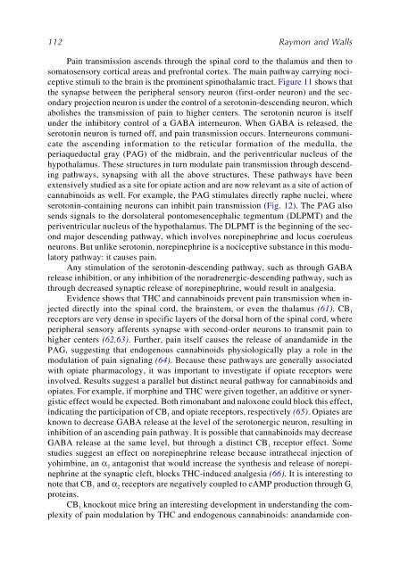 Marijuana and the Cannabinoids