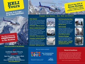 Icefield Heli Tours