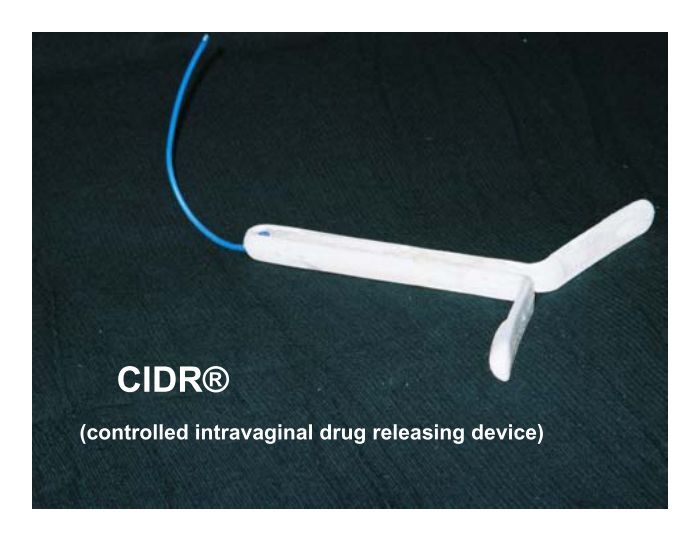 CIDR® (controlled intrav