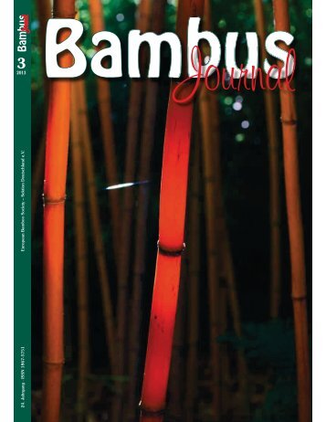 Bambus - Saxdorf.de