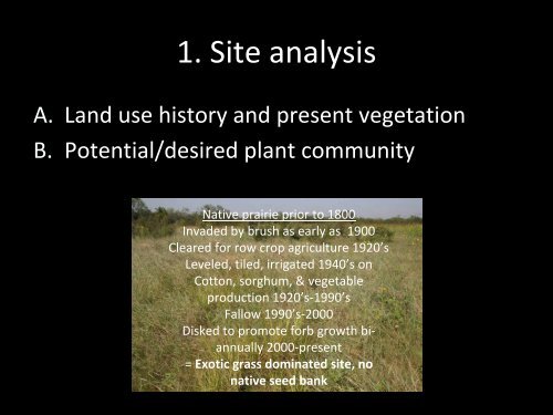 Native Prairie Restoration in South Texas - Caesar Kleberg Wildlife ...