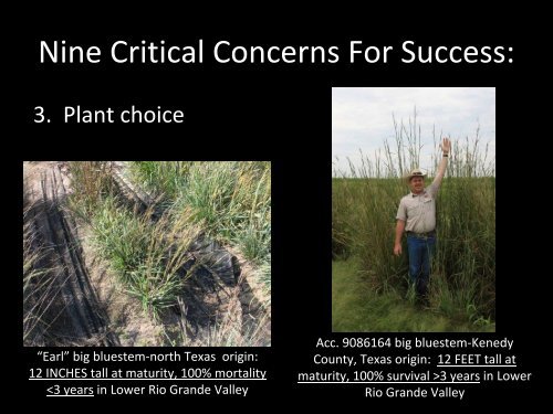 Native Prairie Restoration in South Texas - Caesar Kleberg Wildlife ...